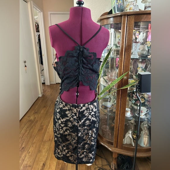 Windsor Lacy Nude Colored Dress With Black Lace Overlay. - Picture 5 of 5